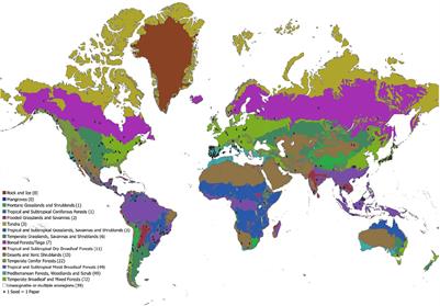 Frugivory and Seed Dispersal by Carnivorans
